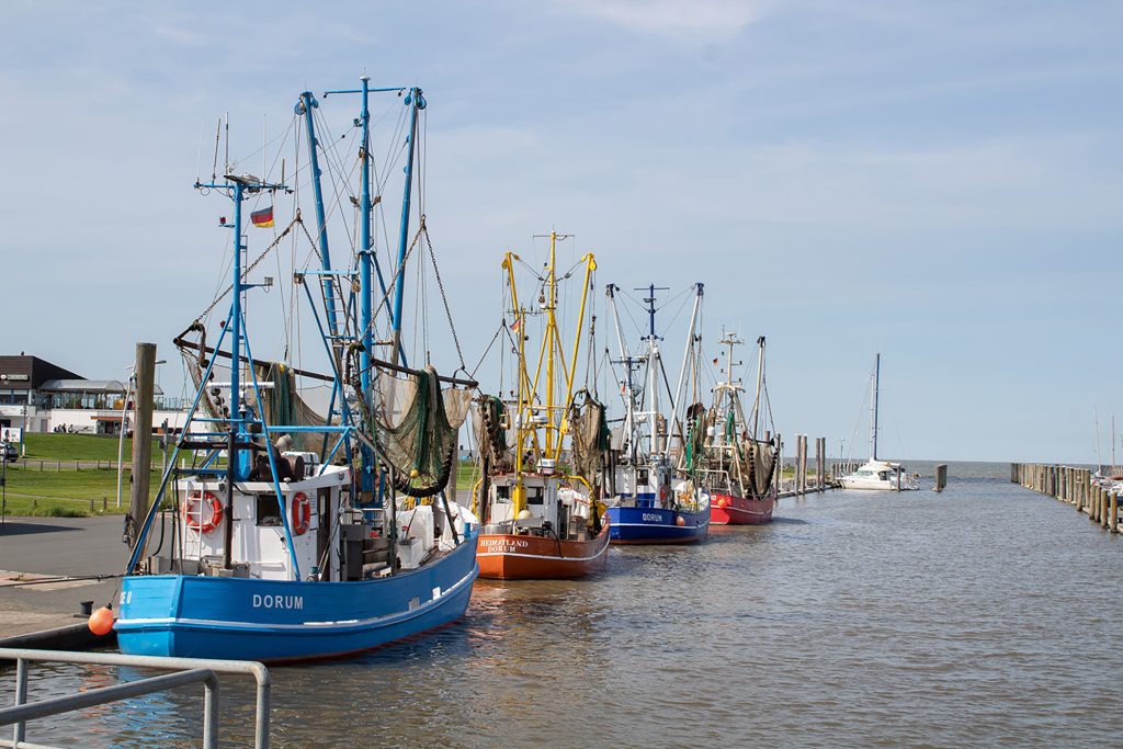 Lebendiger Kutterhafen